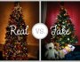 Are Real or Artificial Christmas Trees Greener?